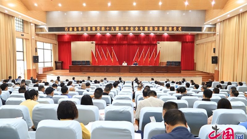 一级建造师网课：如何挑选优质品牌，提升备考效率